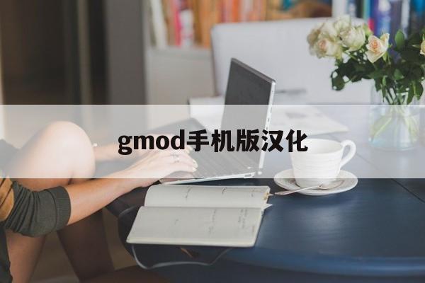 gmod手机版汉化(gmod汉化设置界面)-第3张图片-QuickQ官网