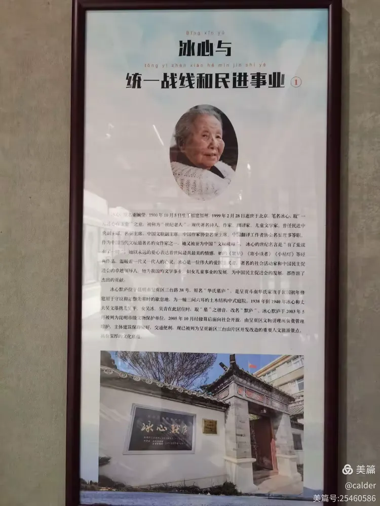 冰心苹果版(冰心阅读app下载)-第4张图片-QuickQ官网