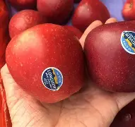 cf小苹果苹果版下载(cf小苹果助手怎么下载)-第2张图片-QuickQ官网