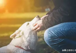 保持善良图片手机版(保持善良的句子经典语录)-第3张图片-QuickQ官网