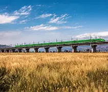 麦田识字手机破解版(麦田识字破解版免费版)-第1张图片-QuickQ官网