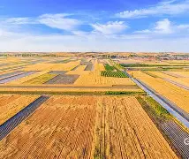 麦田识字手机破解版(麦田识字破解版免费版)-第4张图片-QuickQ官网