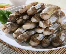 抓蛏子大合集手机版(抓蛏子怎么抓什么样的眼)-第5张图片-QuickQ官网